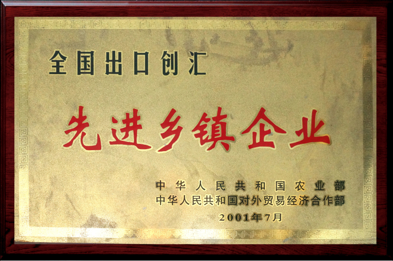 National Export Earning - Advanced Township Enterprises