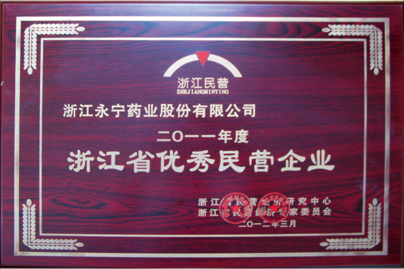 Excellent Private Enterprise in Zhejiang Province